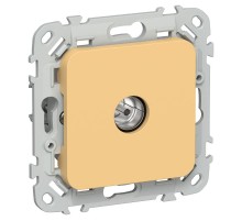 FLITE Розетка TV экран. оконечная тип M РТВм-1-1-1-ФлЗ золотарник  FI-A13-O-K90  IEK