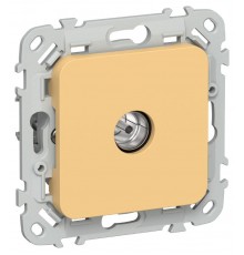 FLITE Розетка TV экран. оконечная тип M РТВм-1-1-1-ФлЗ золотарник  FI-A13-O-K90  IEK