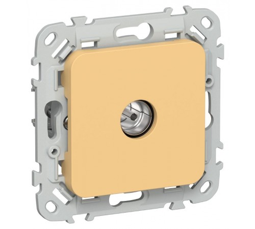 FLITE Розетка TV экран. оконечная тип M РТВм-1-1-1-ФлЗ золотарник  FI-A13-O-K90  IEK