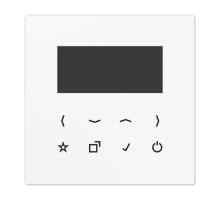 Дисплей DABLS-DISPWW Jung