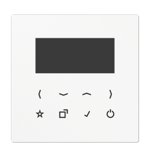 Дисплей DABLS-DISPWW Jung