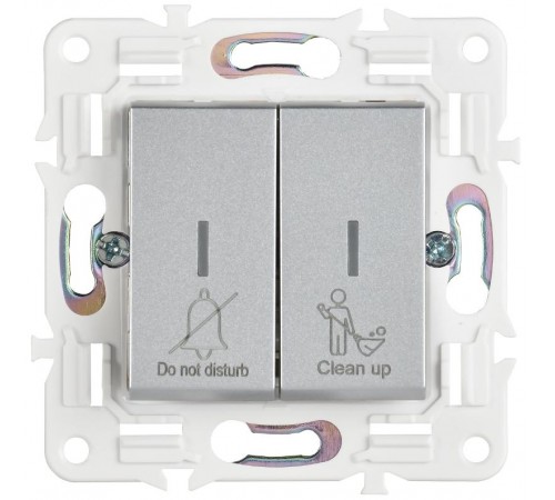 SKANDY Выключатель 2-клавишный с индикацией для отелей 10А SK-V16S серебряный   SK-V20-2-10-K23  IEK