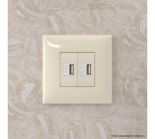 USB зарядное устройство в стену, "Avanti", "Ванильная дымка"  4405543  DKC