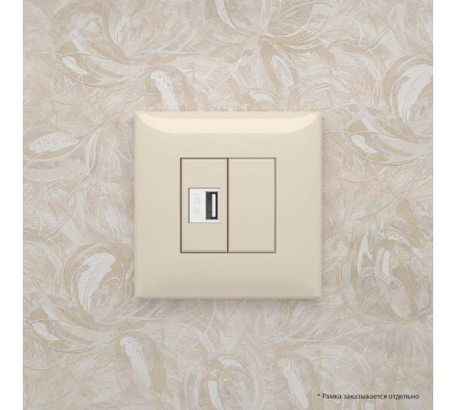 USB зарядное устройство в стену, "Avanti", "Ванильная дымка"  4405543  DKC