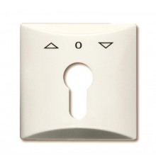 Плата центральная (накладка) с поворотной ручкой, IP44, серия Allwetter 44, цвет слоновая кость  1710-0-2231   2CKA001710A2231  ABB