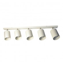 Светильник "Спот" НПБ 01-5х60-513 бел.матовый/белый  1005404517  Элетех