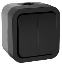 TORS Выключатель двухклавишный 10А IP55 TS105 графит  TS-V20-0-10-55-K53  IEK