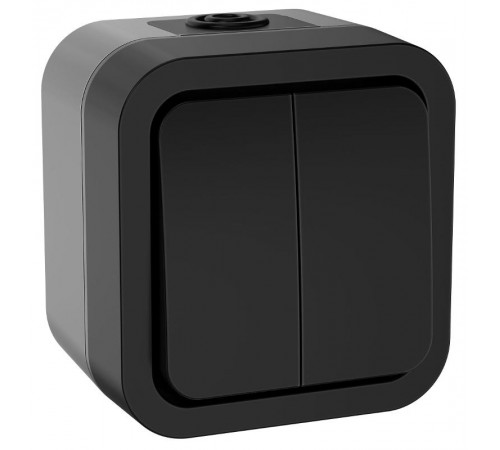 TORS Выключатель двухклавишный 10А IP55 TS105 графит  TS-V20-0-10-55-K53  IEK