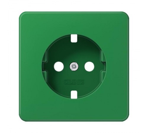 Центральная плата CD1520BFPLGN Jung