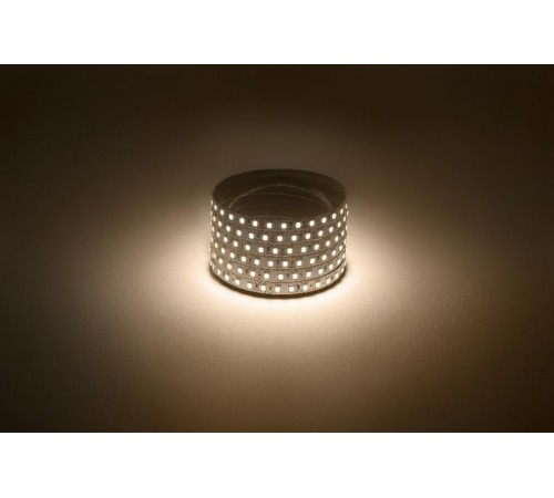 Лента светодиодная LS2835-4,8-60-12-2700K-IP20-2year-5m  Б0044108  ЭРА