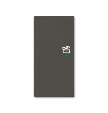 SRS-2-L-95 Клавиша двойная левая free@home, сцена, Basic 55, цвет chateau-black  6220-0-0694   2CKA006220A0694  ABB