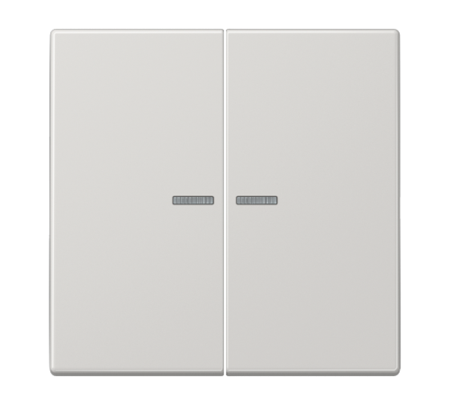 Двойная клавиша с окошками для балансирных механизмов выключателей (кнопок), в комплекте с CD95HP (крепежный элемент), возможно IP44; дюропласт; светл