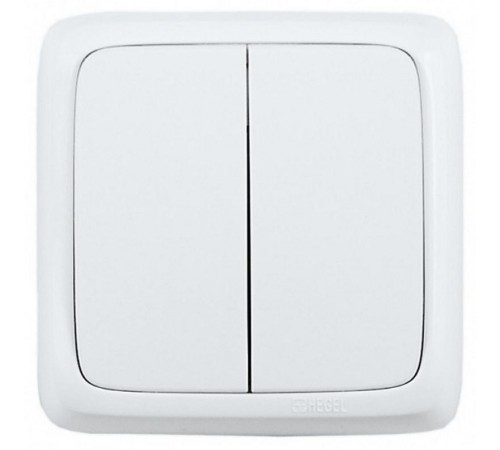 Выключатель открытой установки, двухклавишный, цвет белый  ВА16-151  HEGEL