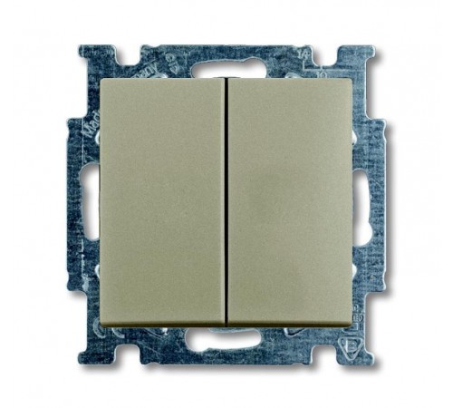 ABB Basic 55 Шампань Выключатель 2-х клавишный  1012-0-2167   2CKA001012A2167  ABB