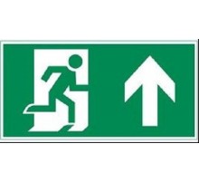 Е38 Направление к эвакуационному выходу прямо (260x117) белый oracal URAN STANDARD  2502005380  Световые Технологии