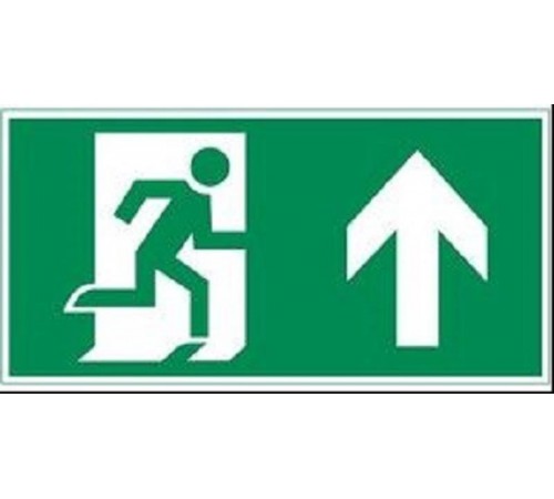 Е38 Направление к эвакуационному выходу прямо (260x117) белый oracal URAN STANDARD  2502005380  Световые Технологии
