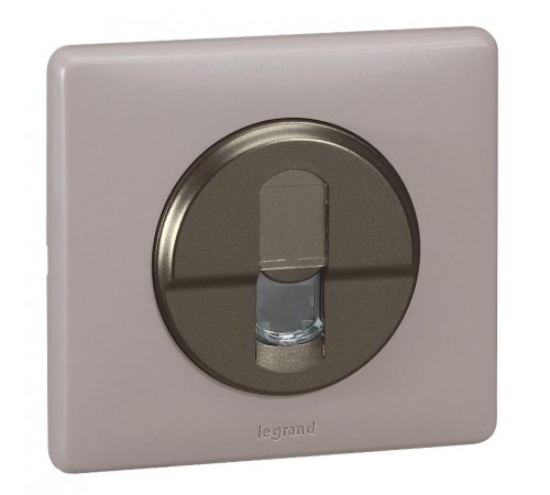 Celiane Титан Накладка компьютерной 1-ой розетки  068551  Legrand