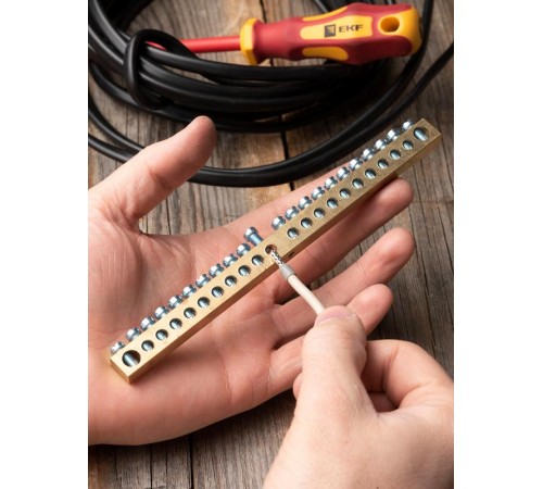 Шина PEN "ноль-земля" (8х12мм) 22 отверстия латунь крепеж по центру EKF PROxima  sn0-125-22-c  EKF