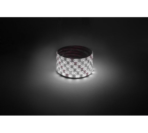 Лента светодиодная  LS2835 -4,8-60-12-4000K-IP65-1 year-5m дневной белый 5м  Б0059901  ЭРА