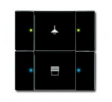 6126/02-81-500 Сенсор 2/4-кл. многофункциональный, антарцит  6116-0-0206  2CKA006116A0206  ABB