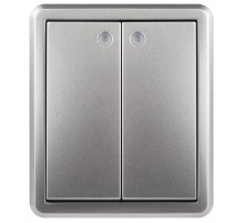 Выключатель Эксперт 11-1205-03 двойной с подсветкой IP20 10АХ-250В ОУ Алюминий  Б0063001  ЭРА