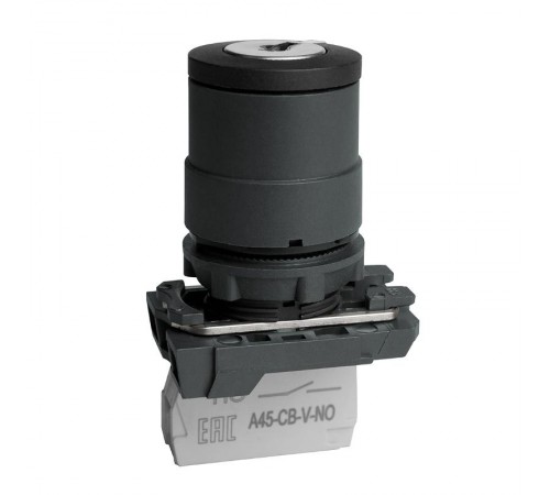 Переключатель OptiSignal D22 C5-SK-21 с ключем 2 поз пластик 1НО XB5AG21 332184 КЭАЗ