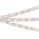 Лента светодиодная герметичная RTW-PFS-A120-11mm 12V Cool 10K (9.6 W/m, IP68, 2835, 5m) (arlight, -)  033895  Arlight