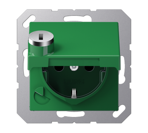 SCHUKO® розетка с замком A1520BFKLSLGN Jung