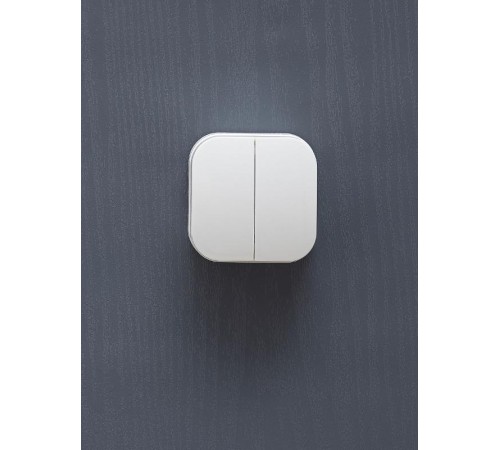 GLORY белый Выключатель 2-клавишный О/У 10А ВС20-2-0-ХБ  EVH20-K01-10  IEK