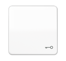 Клавиша с символом "ключ"; белая  CD590TWW  Jung