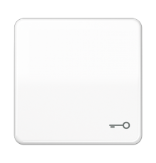 Клавиша с символом "ключ"; белая  CD590TWW  Jung