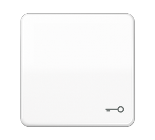 Клавиша с символом "ключ"; белая  CD590TWW  Jung