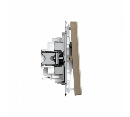 ArtGallery Шампань Выключатель 2-клавишный с подсветкой, сх.5а, 10АХ, механизм, быстрозажим. клем.  GAL000553S  SE