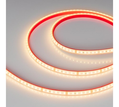 Лента светодиодная герметичная RTW-PFS-A120-11mm 24V Warm3000 (9.6 W/m, IP68, 2835, 5m) (arlight, -)  033786  Arlight