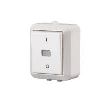 Выключатель 1-клавишный, 2-полюсный, 16А/230В (схема 2), серия Jussi, белый, поверхностный монтаж, IP44  1062SW  2TKA000138G1  ABB