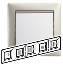 Valena Жемчужный Рамка 5-ая гориз  770475  Legrand