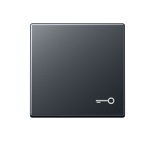 Клавиша с вимволом двери  A590BFTANM  Jung