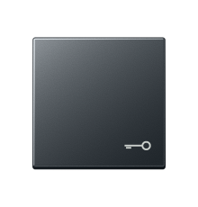 Клавиша с вимволом двери  A590BFTANM  Jung