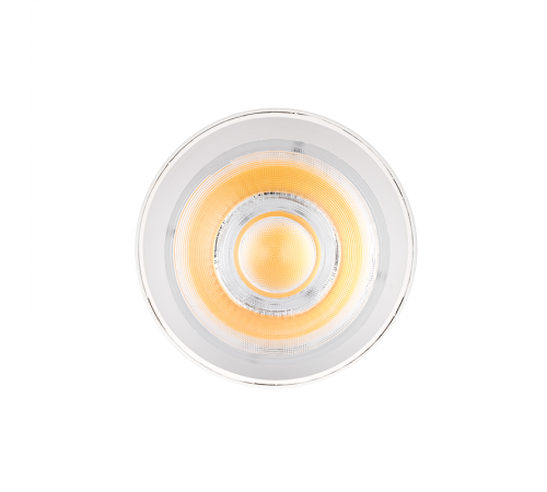 Лампа светодиодная PTR 0724 Agro White 24w 38° WH (белый) IP40  .5051379  Jazzway