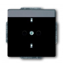 Розетка SCHUKO 16А 250В с полем для надписи, серия solo/future, цвет антрацит  2011-0-3802   2CKA002011A3802  ABB