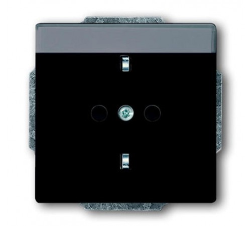 Розетка SCHUKO 16А 250В с полем для надписи, серия solo/future, цвет антрацит  2011-0-3802   2CKA002011A3802  ABB