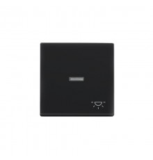 Клавиша для 1-клавишных высветателей/переключателей/кнопок с символом "свет", прозрачная линза, Impressivo, антрацит  1789LI-81   2TKA000567G1  ABB