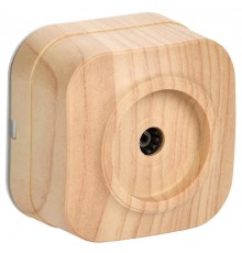 РТВ20-ХС Розет. 1-ая телевиз. о/у GLORY сосна  EAH10-K34  IEK