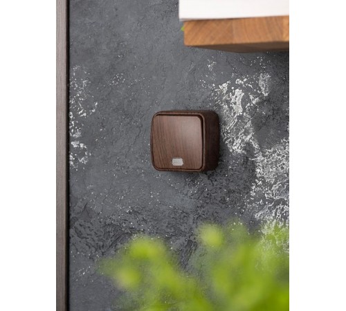 Выключатель 1-клавишный ОП Минск 10А с индикатором тёмное дерево EKF  EGV10-121-40  EKF