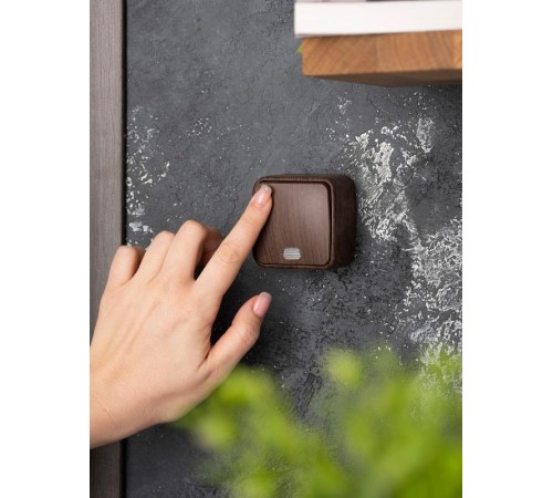 Выключатель 1-клавишный ОП Минск 10А с индикатором тёмное дерево EKF  EGV10-121-40  EKF