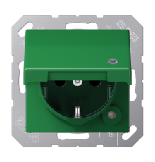 SCHUKO® розетка с крышкой A1520BFKLKOGN Jung