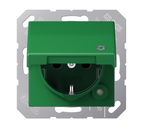 SCHUKO® розетка с крышкой A1520BFKLKOGN Jung