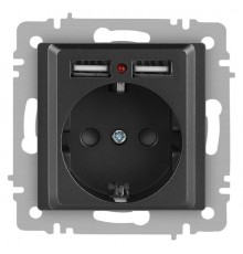 Розетка Intro Accent 6-410-07 P+E Schuko со шторками, 16А-250В + 2хUSB, IP20, СУ, графит  Б0063702  Intro