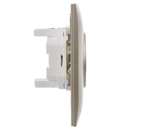 SKANDY Розетка 2-местная без з/к/ш 10А в сб. SK-R10Sh шампань  SK-R20-10-K37-F  IEK