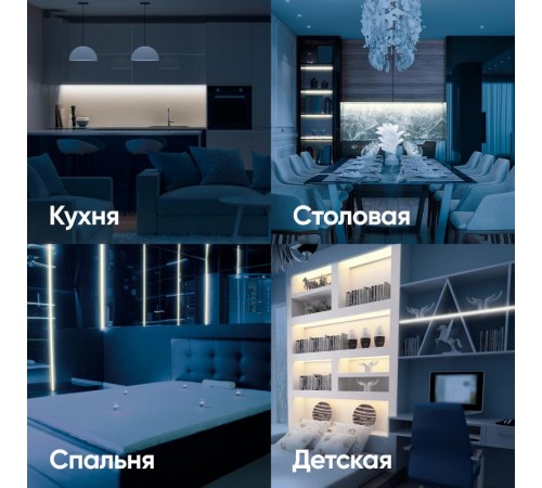 Лента светодиодная LS2835-27-252-24-33-3000К-triple-5m  Б0043104  ЭРА